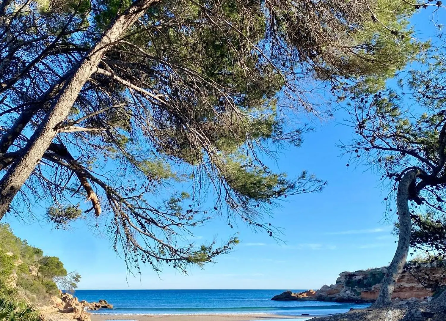 El Barco Bed & Breakfast L'Ametlla de Mar Spain